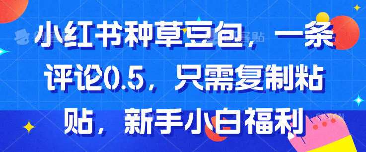 小红书种草豆包，一条评论0.5，只需复制粘贴，新手小白福利